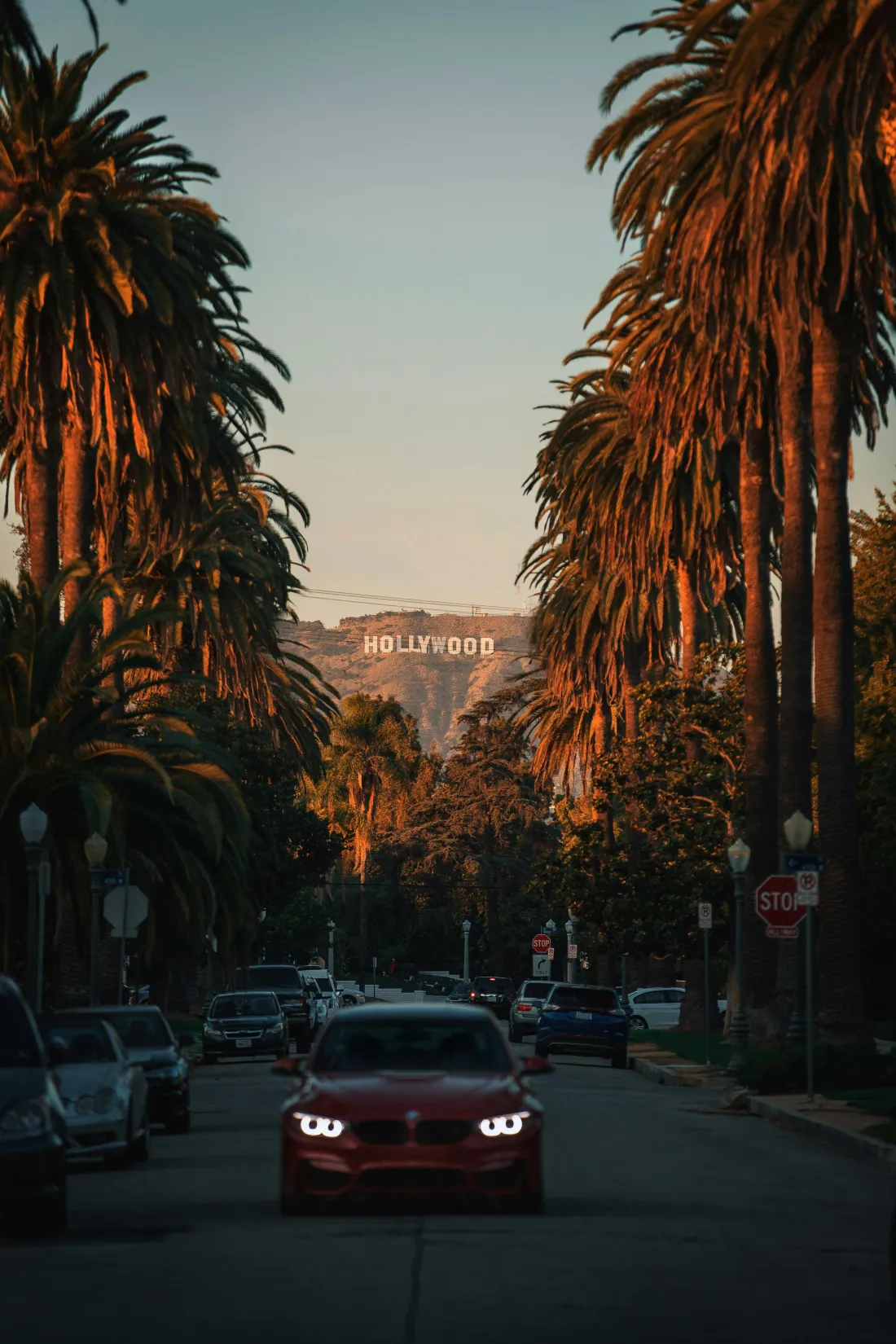 Cars lined up beside a road at dusk